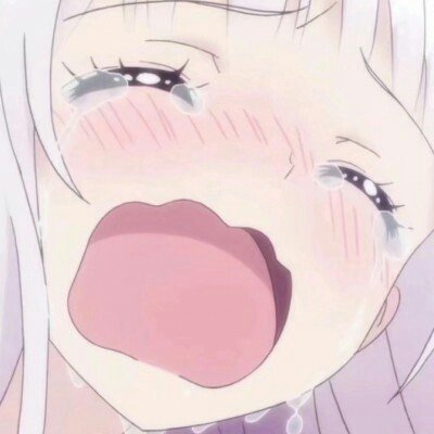 祝绪丹 虞书欣